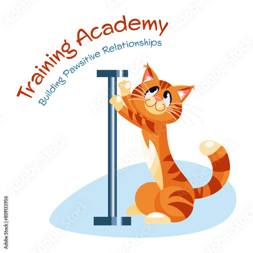 Modern vector concepts for website - cat training and behavior (ID: 809133956)