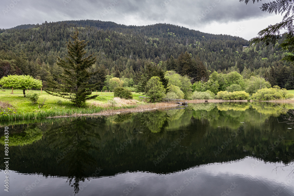 Lake reflection in spring Lake reflection in spring