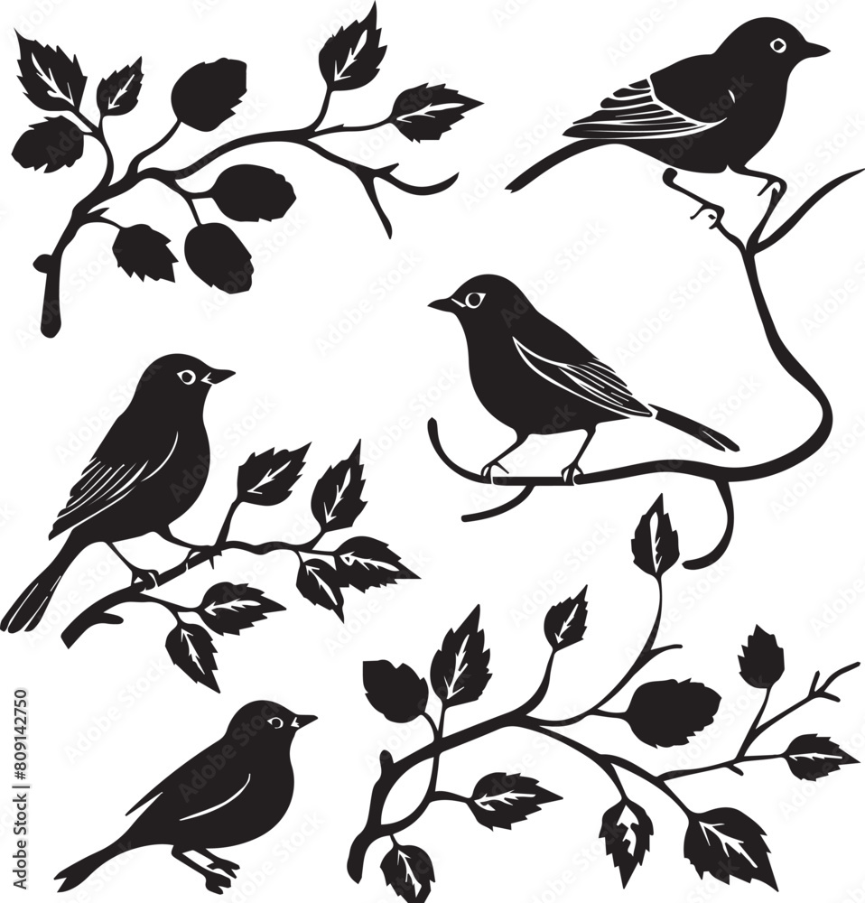 Birds Black Silhouettes on a Tree Branch Birds Black Silhouettes on a Tree Branch
