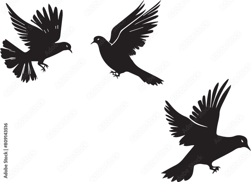 Fototapeta premium Birds Black Silhouettes on a Tree Branch