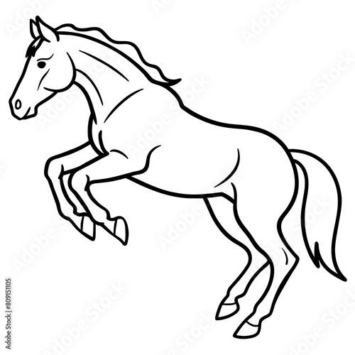 Horse vector illustration