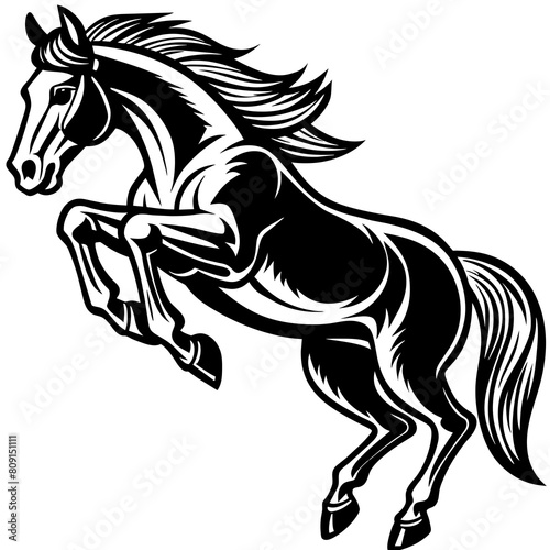 Horse vector illustration