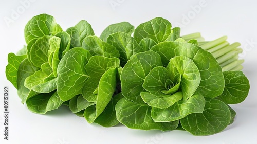 A close-up image of a bunch of fresh, green bok choy. The leaves are crisp and the stems are white and tender. The bok choy is ready to be cooked and enjoyed.