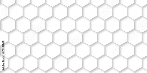 Abstract pattern with hexagonal white and gray technology line paper background. Hexagonal 3d vector grid tile and mosaic structure mess cell. white and gray hexagon honeycomb geometric copy space.