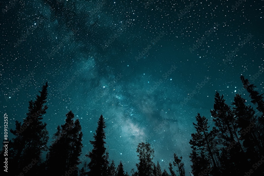 A dark night sky dotted with stars above a forest of tall trees, A backdrop as dark as the night sky