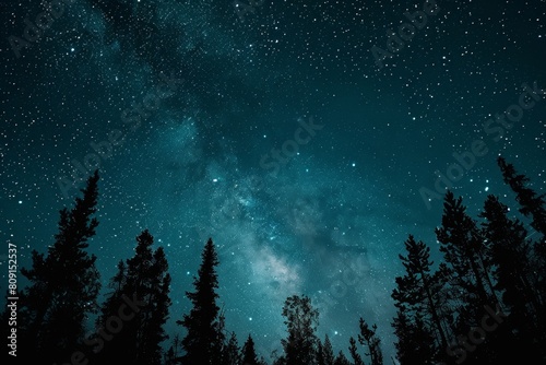 Fototapeta Naklejka Na Ścianę i Meble -  A dark night sky dotted with stars above a forest of tall trees, A backdrop as dark as the night sky