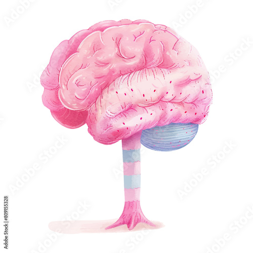 watercolor of brain white background (13)