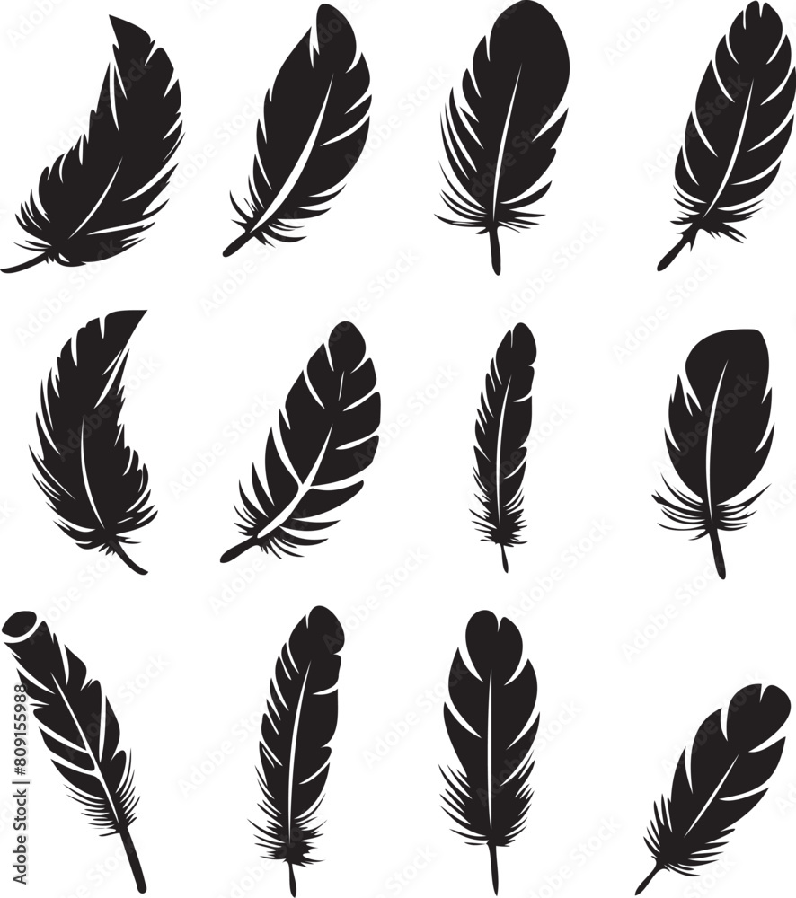 Set of black silhouette feather icons on white background
Set of black silhouette feather icons on white background