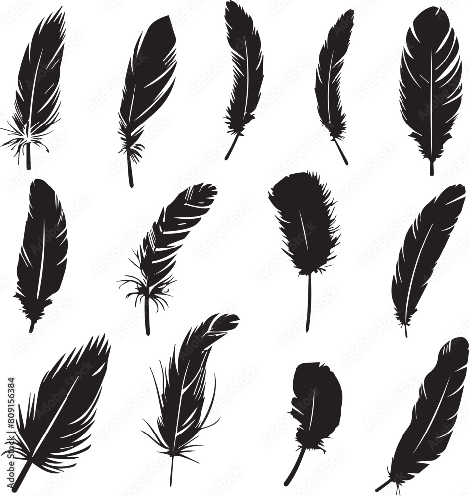 Set of black silhouette feather icons on white background
Set of black silhouette feather icons on white background