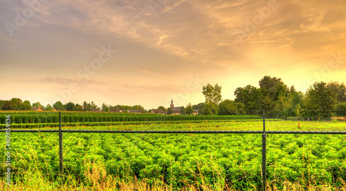 Sunset falls over the skyline of the village of Aarle-Rixtel, The Netherlands. photo