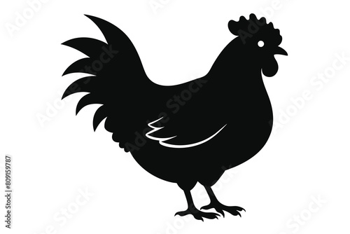 Chicken Silhouette Vectors design white background