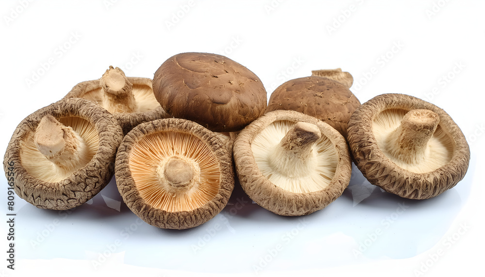 mushrooms isolated on white background mushrooms isolated on white background