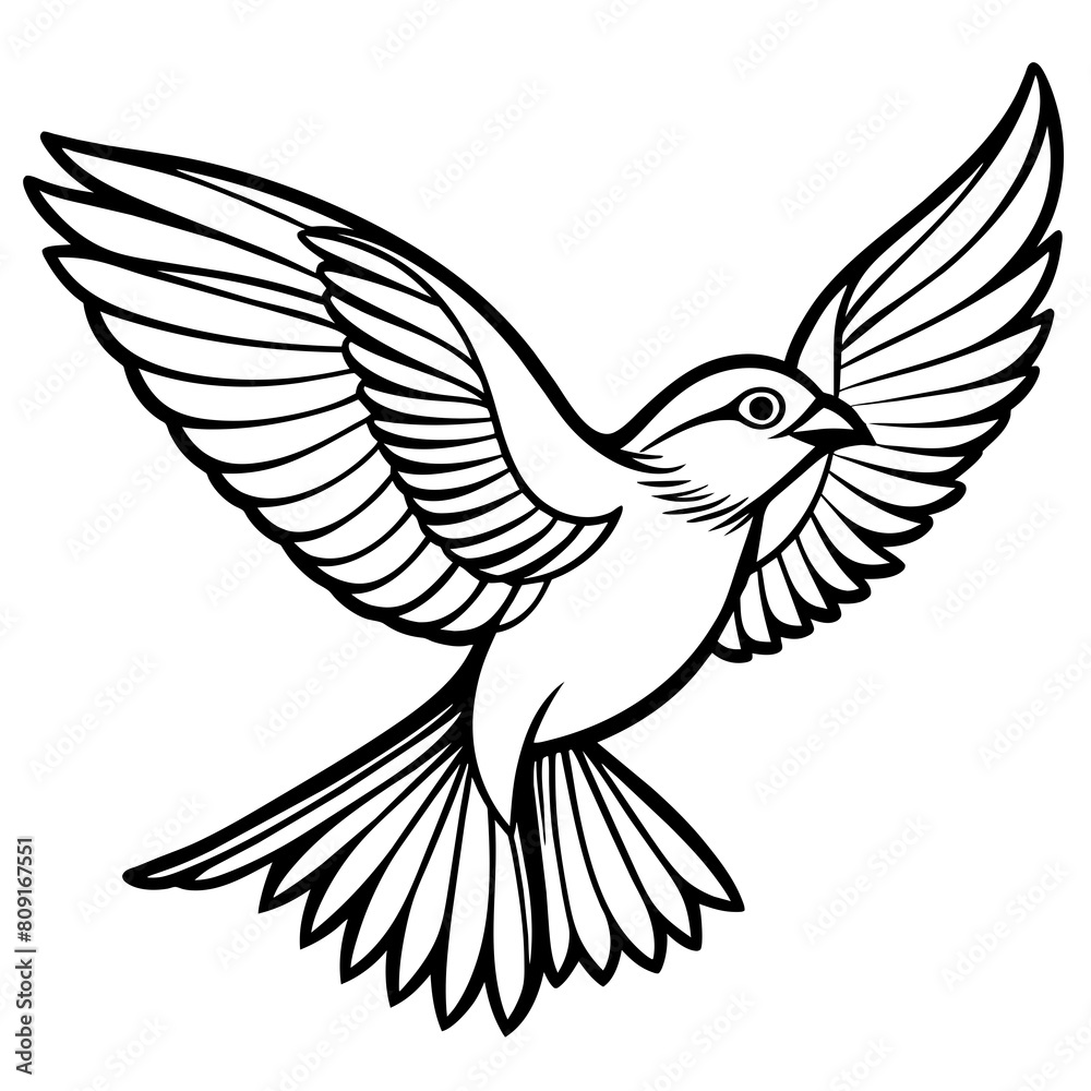 Bird flying outline vector illustration