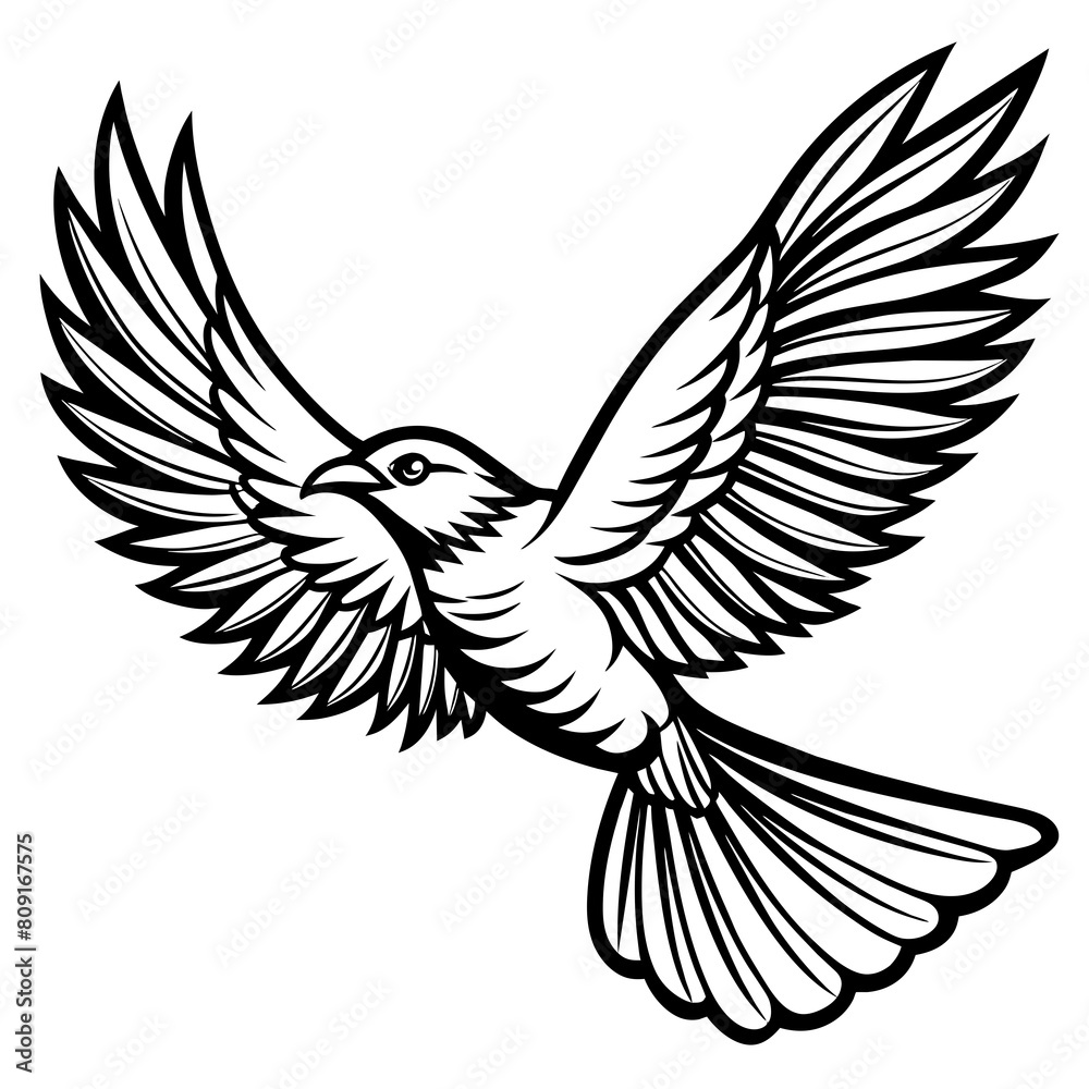 Fototapeta premium illustration of a bird vector illustration