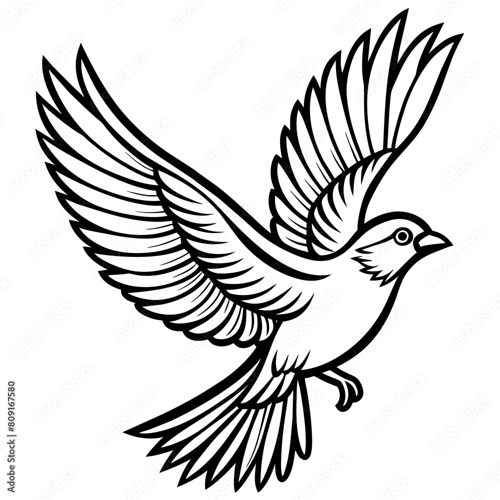 Bird flying outline vector illustration Bird flying outline vector illustration