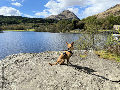 A view of Loch Lomond in Scotland on a sunny day