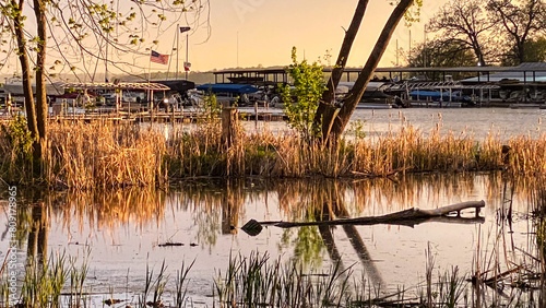 Marsh at Golden Hour in the Spring photo