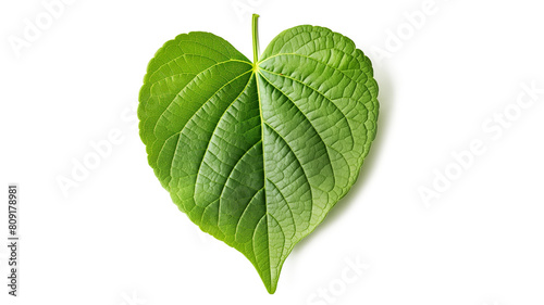 a green leaf is shown in the shape of a heart green leaf isolated on a transparent background