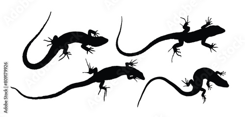 The set of silhouettes of big lizards.
