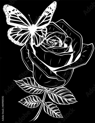 white silhouette of butterfly on red rose on black background