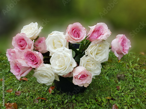 bunch of pink and white roses in a bucket on green lawn © SusaZoom