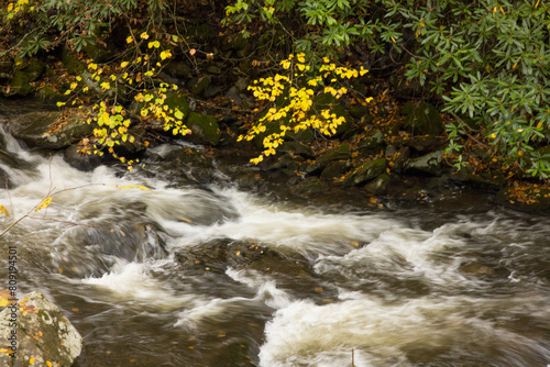 River flowing through the Autumn woods