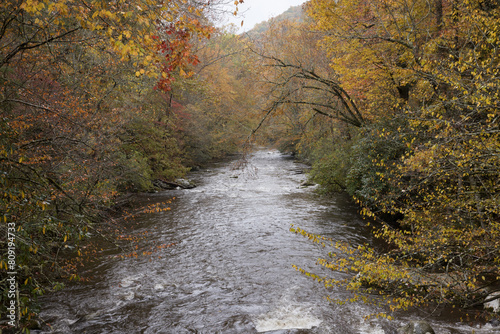 River flowing through the Autumn woods