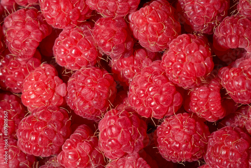 Raspberry close-up, fruit, details, summer, freshness, diet, health, vitamins, nature, food
