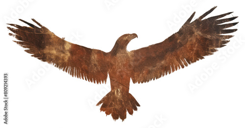 PNG Paleolithic cave art painting style of Eagle ancient vulture animal photo