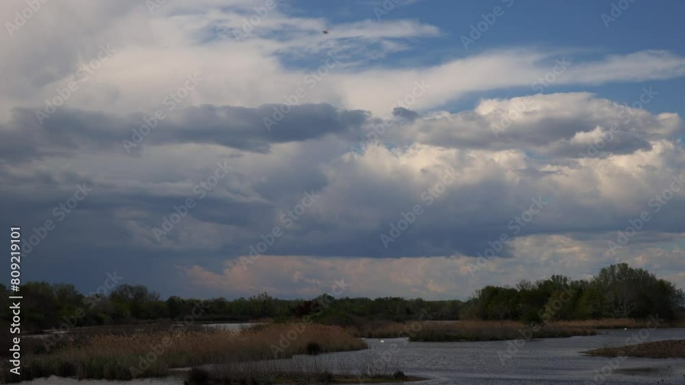 breve timelapse con inquadratura dettagliata ed effetto zoom di un ambiente naturale di palude, nei pressi di un fiume nel nord est Italia, di pomeriggio, in estate, guardando un temporale lontano