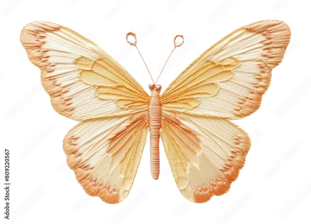 Fototapeta premium PNG Butterfly flying animal insect invertebrate