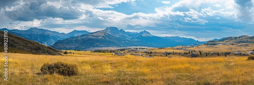 Golden Beartooth Mountains: Majestic Landscape View of Nature's Yellow Grass, Fields, and photo