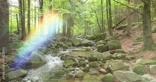 small, beautiful mountain river in the green forest (aerial)	