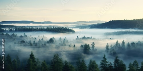 Air aerial nodric forest evening fog misty weather scene view. Adventure explore trip travel vibe inspiration