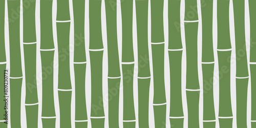 Vector illustration of bamboo on white background, Seamless border, Pattern, Plant, Nature, Ribbon, Vector design
