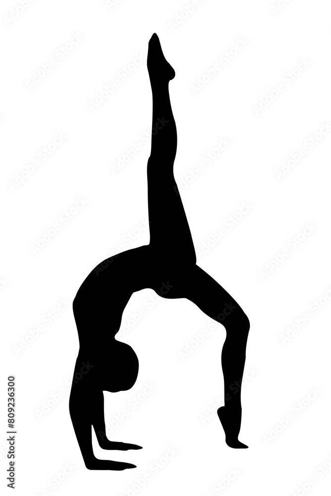straight vector image silhouette modern yoga exercises stretching, beauty, body line art. For use as a brochure template or for use in web design. straight vector image silhouette modern yoga exercises stretching, beauty, body line art. For use as a brochure template or for use in web design.