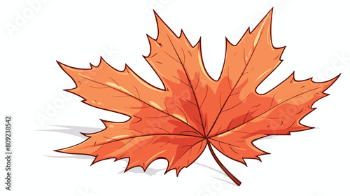 Maple leaf hand drawn vector illustration. Autumn s