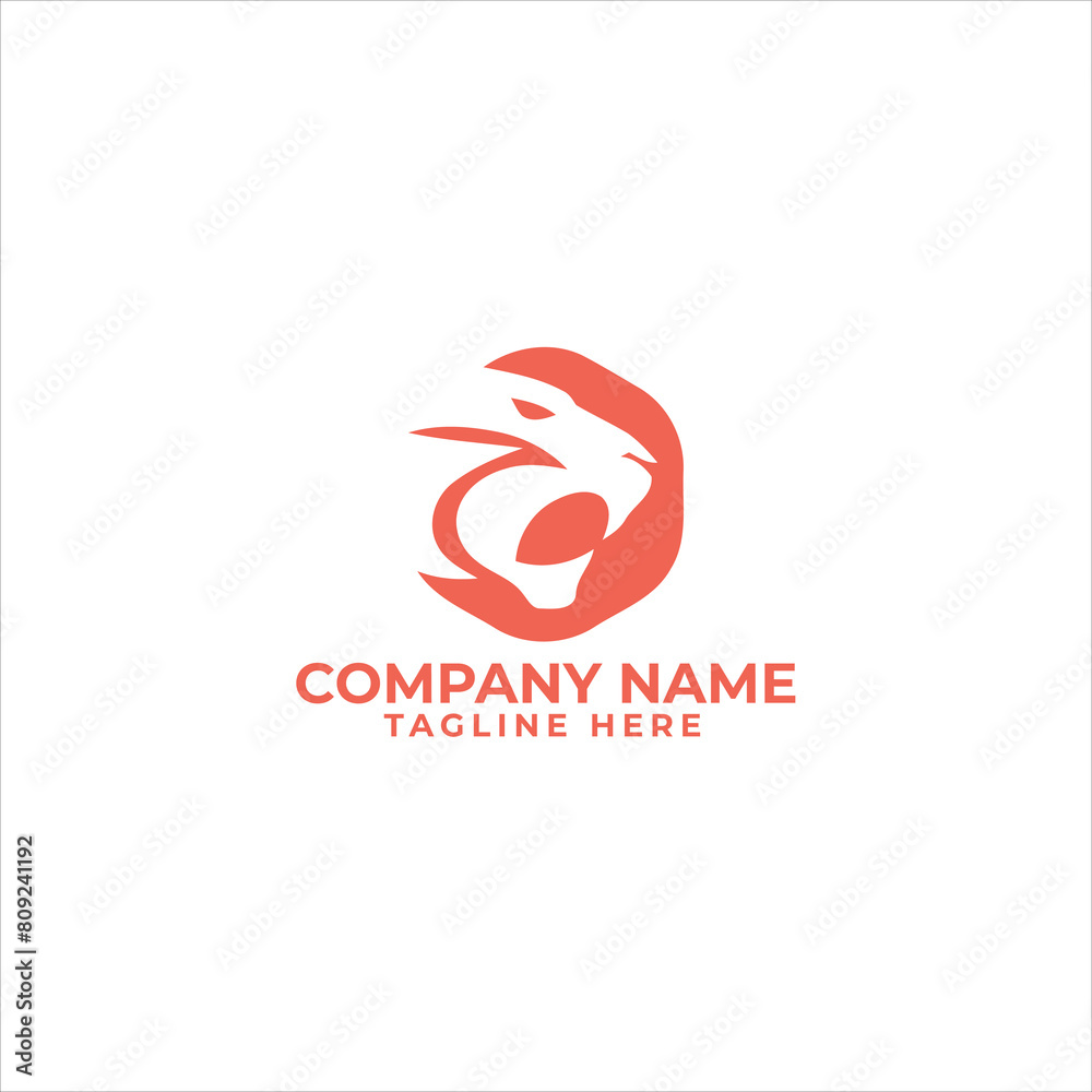 Obraz premium lion logo template