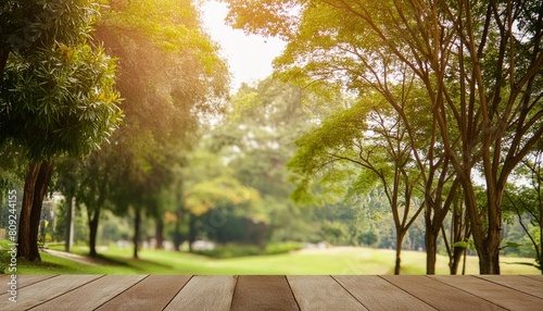 the nature background abstract blur nature background green leaf in nature background