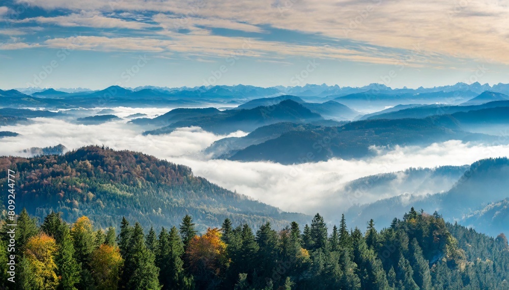 panoramic view over forests with morning fog