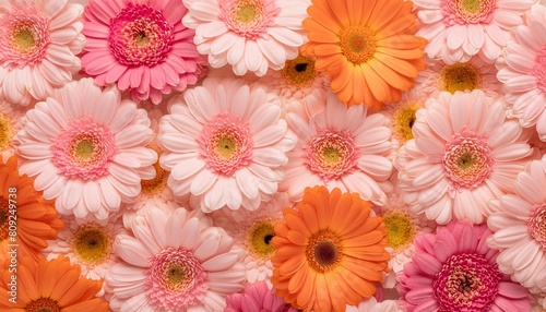 light pink and light orange floral background with a straightforward daisy pattern throughout © Francesco