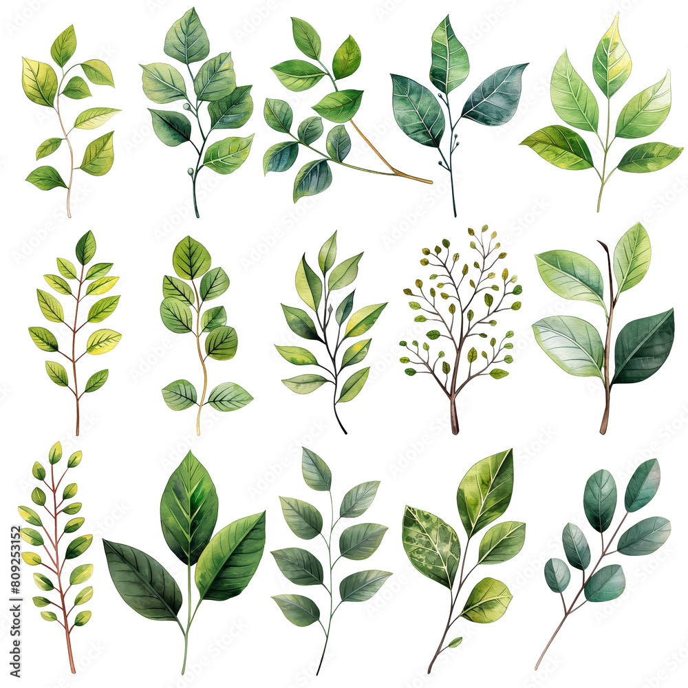 A collection of green leaves and branches A collection of green leaves and branches