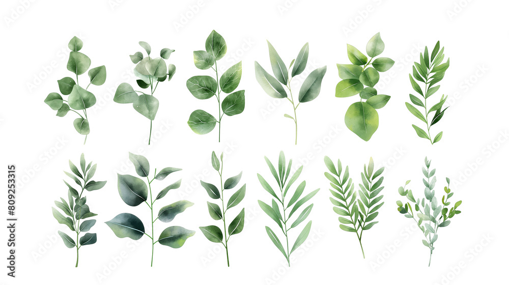 A set of green leaves with varying sizes and shapes A set of green leaves with varying sizes and shapes