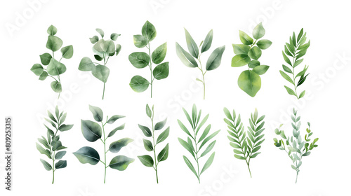 A set of green leaves with varying sizes and shapes