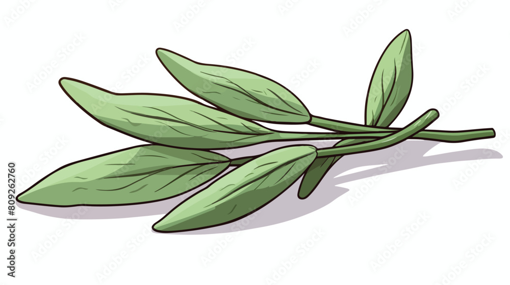 Sage plant single leaf hand drawn sketch style vect