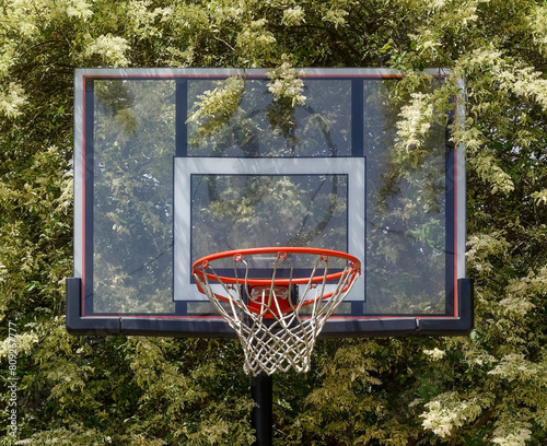 Plexiglass basketball hoop, rim, net and backboard against background of leaves.