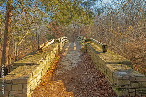 Worn Footbridge in Forested Park