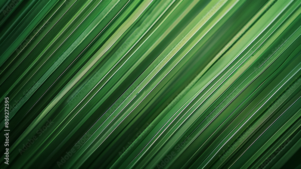 Close-Up View of Abstract Leaf Background Close-Up View of Abstract Leaf Background