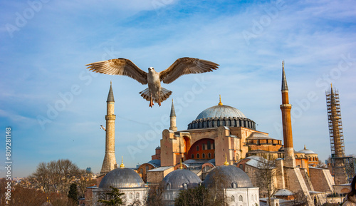 Hagia Sophia / Ayasofya. Hagia Sophia is the famous historical building of the Istanbul. Turkey. photo
