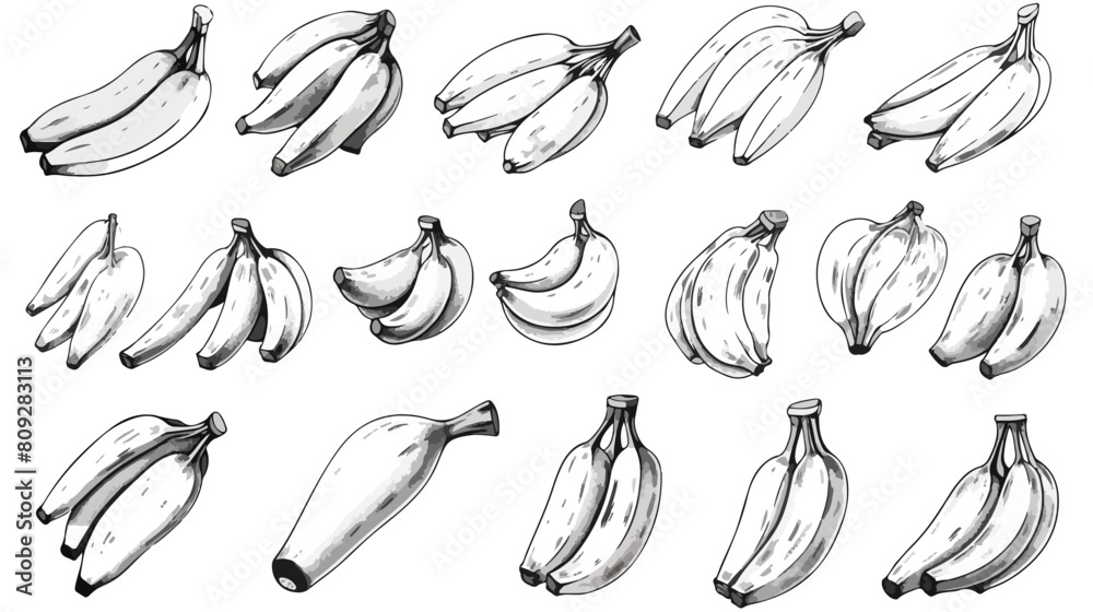 Set of pencil sketches of banana. Vector black and